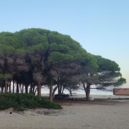 הוילה אורוסיי Casa Su Rimediu מראה חיצוני תמונה